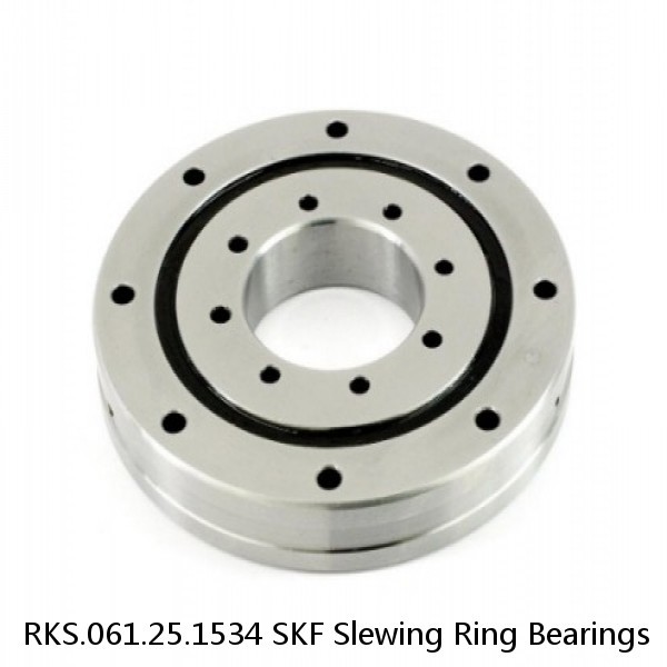 RKS.061.25.1534 SKF Slewing Ring Bearings