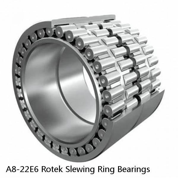 A8-22E6 Rotek Slewing Ring Bearings