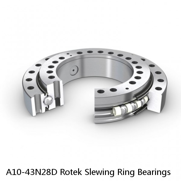 A10-43N28D Rotek Slewing Ring Bearings