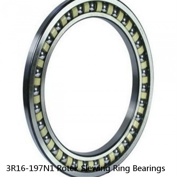 3R16-197N1 Rotek Slewing Ring Bearings