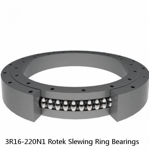 3R16-220N1 Rotek Slewing Ring Bearings