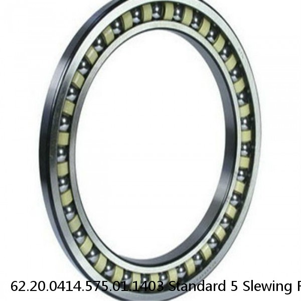 62.20.0414.575.01.1403 Standard 5 Slewing Ring Bearings