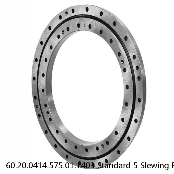 60.20.0414.575.01.1403 Standard 5 Slewing Ring Bearings