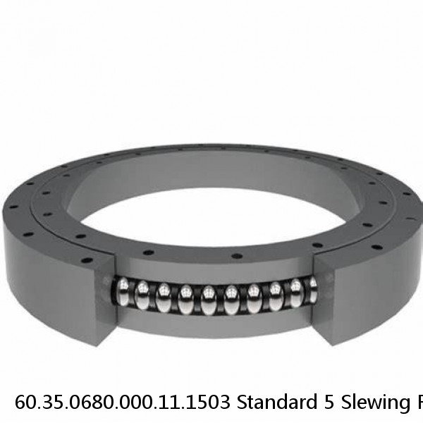 60.35.0680.000.11.1503 Standard 5 Slewing Ring Bearings