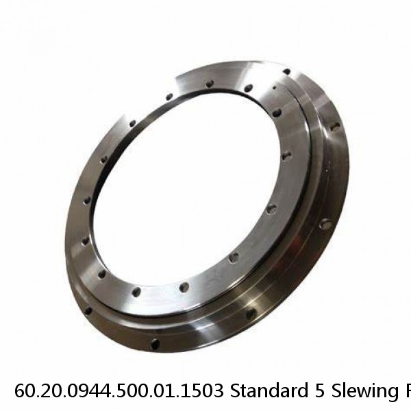 60.20.0944.500.01.1503 Standard 5 Slewing Ring Bearings