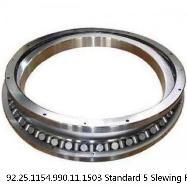 92.25.1154.990.11.1503 Standard 5 Slewing Ring Bearings