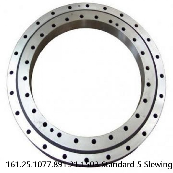 161.25.1077.891.21.1503 Standard 5 Slewing Ring Bearings