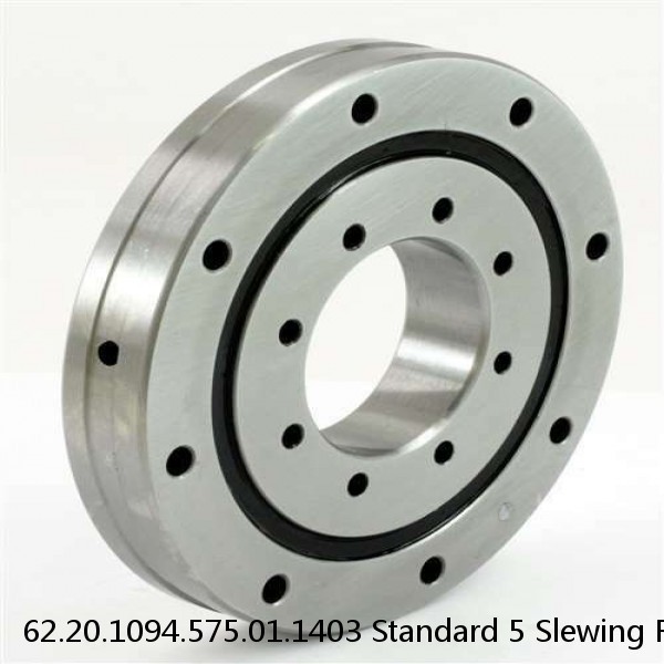 62.20.1094.575.01.1403 Standard 5 Slewing Ring Bearings