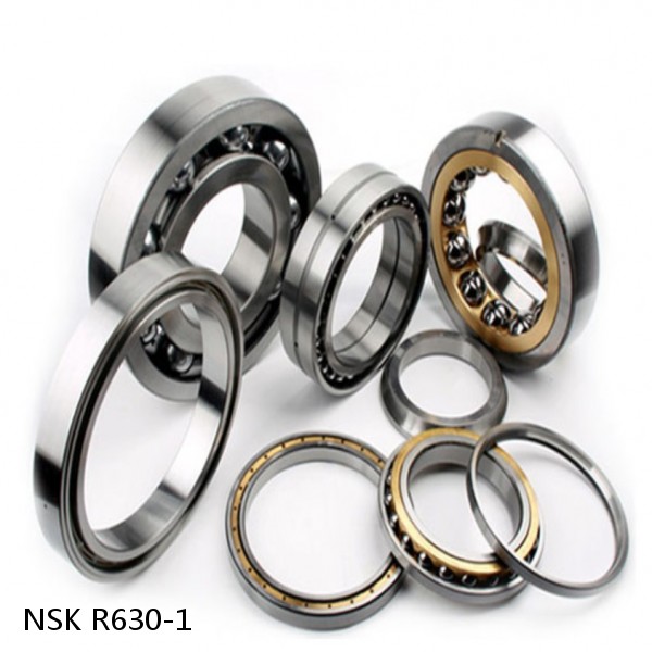 R630-1 NSK CYLINDRICAL ROLLER BEARING